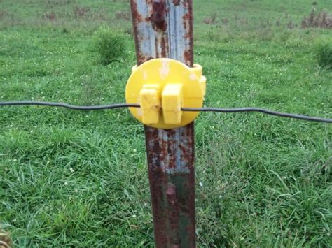 electric fence box for cattle light not blinking|fence not working electrically.